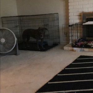 Meet your Posher, Ronald